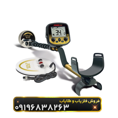 فلزیاب فیشر گلد باگ پرو